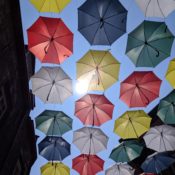 Profile picture of Umbrella ☂️